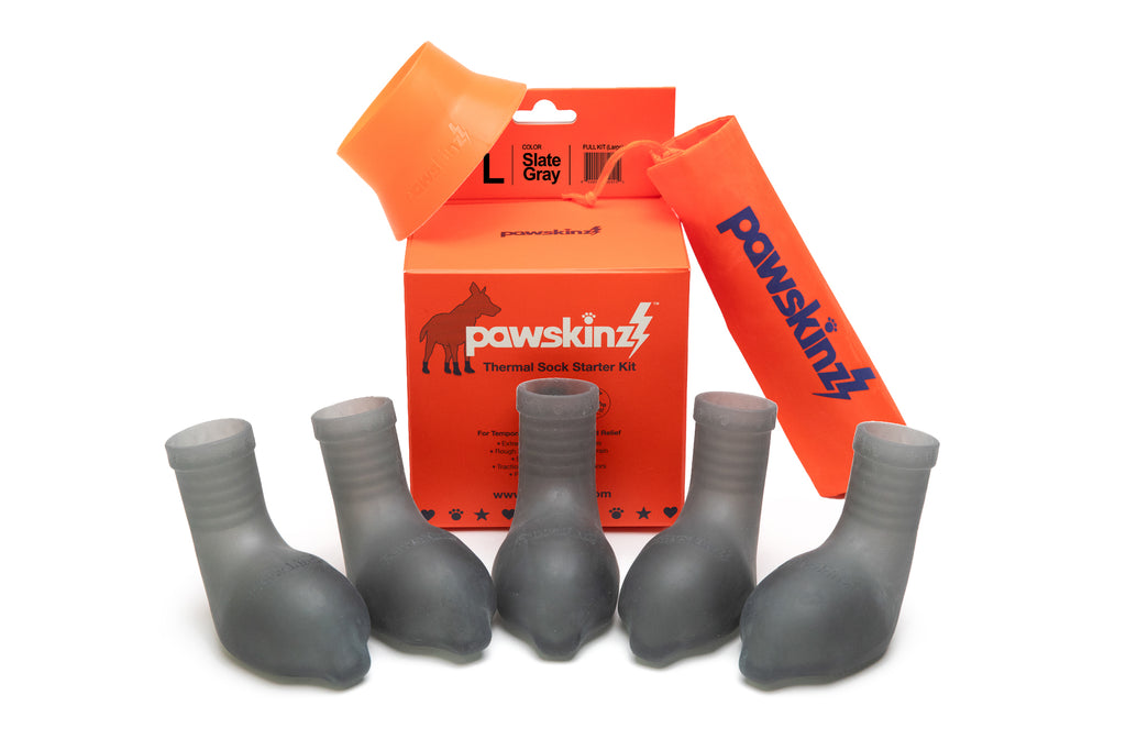 Pawskinz Starter Kit-Large
